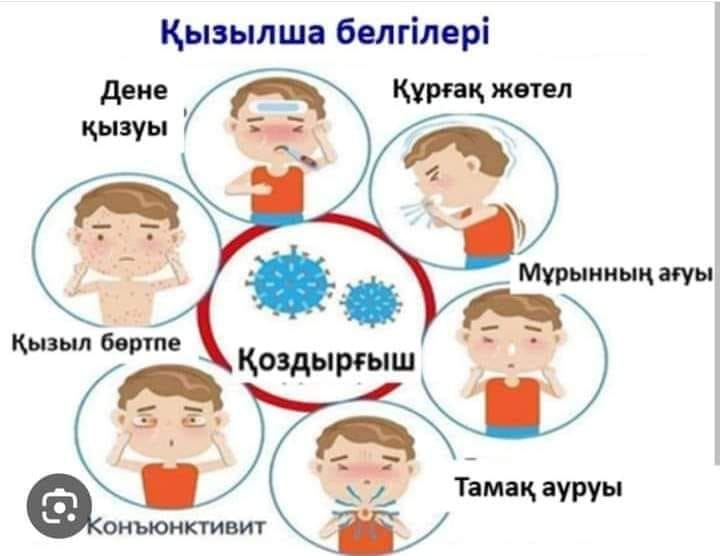 5–11 сынып оқушыларына «Қызылша және оның алдын алу жолдары» тақырыбында диктант жазылды \ для учащихся 5–11 классов был проведён диктант на тему «Краснуха и пути её профилактики»